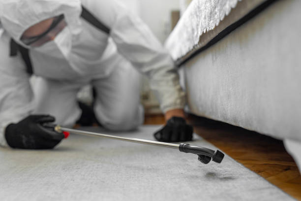 Professional Termite Control technician working in Central Falls, RI