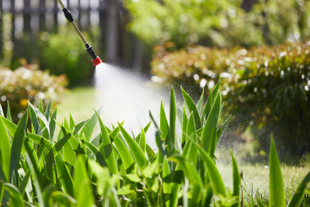 24/7 Emergency Termite Control experts in Central Falls, RI