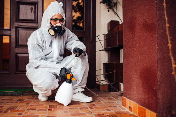 Reliable Termite Control contractor in Central Falls, RI by Nex Pest Control